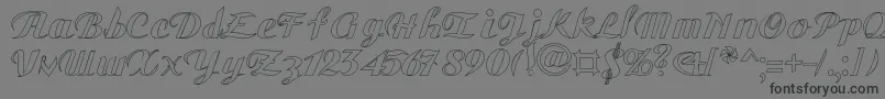 GauHo Font – Black Fonts on Gray Background