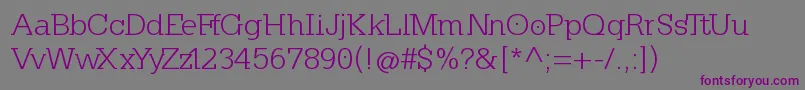 Шрифт KleinslabserifLight – фиолетовые шрифты на сером фоне
