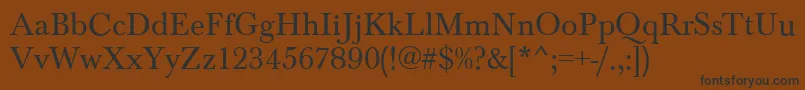 BaskervilleRegular Font – Black Fonts on Brown Background