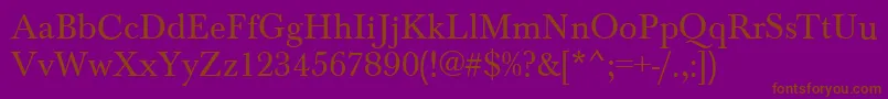 BaskervilleRegular Font – Brown Fonts on Purple Background