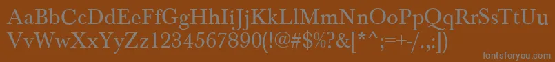 BaskervilleRegular Font – Gray Fonts on Brown Background