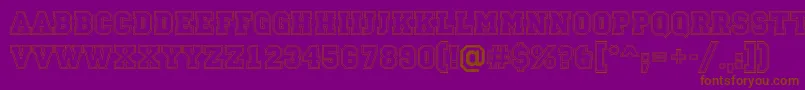 ACampus2otlBold Font – Brown Fonts on Purple Background