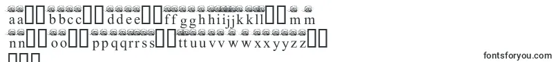 Ferretsrtopslowercase Font – Polish Fonts