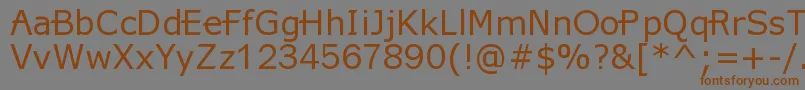 フォントX360 – 茶色の文字が灰色の背景にあります。