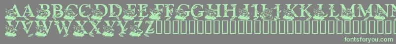 LmsBloodsuckerProxy Font – Green Fonts on Gray Background