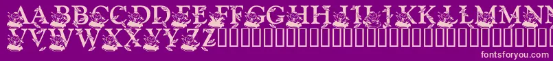 LmsBloodsuckerProxy Font – Pink Fonts on Purple Background