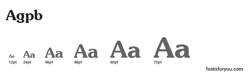 Размеры шрифта Agpb