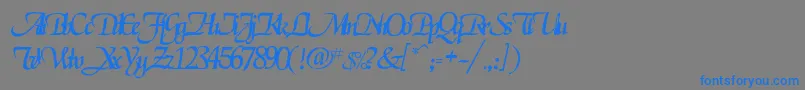 フォントRselgarrett – 灰色の背景に青い文字