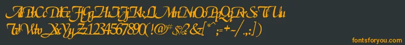 フォントRselgarrett – 黒い背景にオレンジの文字