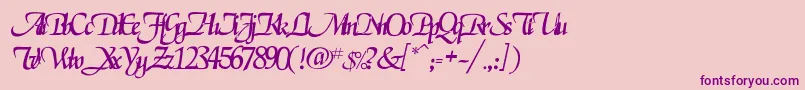 Rselgarrett Font – Purple Fonts on Pink Background