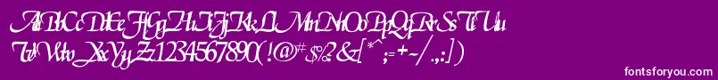 Rselgarrett Font – White Fonts on Purple Background