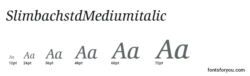 Размеры шрифта SlimbachstdMediumitalic