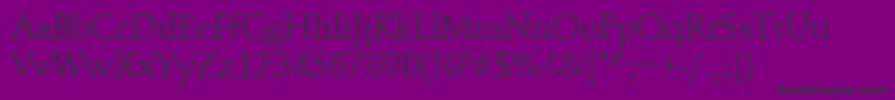 Schindler Font – Black Fonts on Purple Background