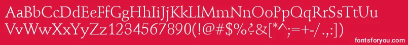 Schindler Font – White Fonts on Red Background