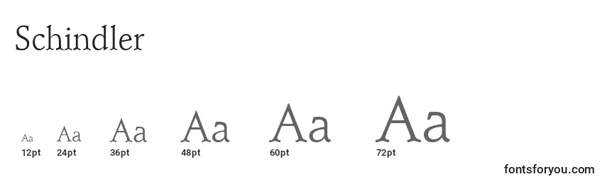 Schindler Font Sizes