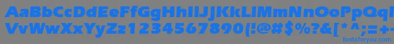 SpeedoUltraSsiBlack Font – Blue Fonts on Gray Background