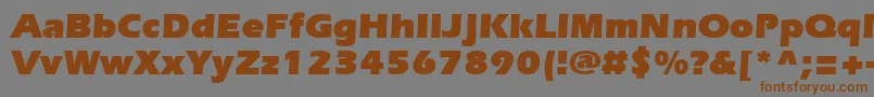 SpeedoUltraSsiBlack Font – Brown Fonts on Gray Background