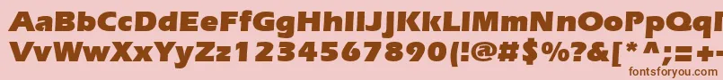 SpeedoUltraSsiBlack Font – Brown Fonts on Pink Background