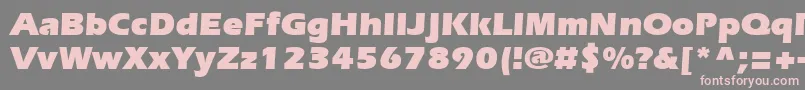 SpeedoUltraSsiBlack Font – Pink Fonts on Gray Background