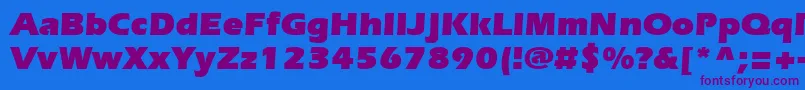 SpeedoUltraSsiBlack Font – Purple Fonts on Blue Background