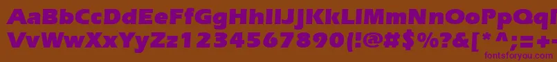 SpeedoUltraSsiBlack Font – Purple Fonts on Brown Background