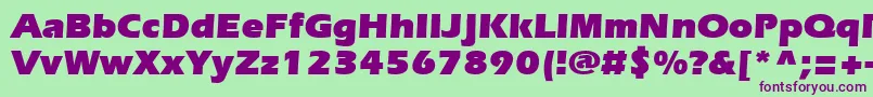 SpeedoUltraSsiBlack Font – Purple Fonts on Green Background