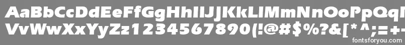 フォントSpeedoUltraSsiBlack – 灰色の背景に白い文字