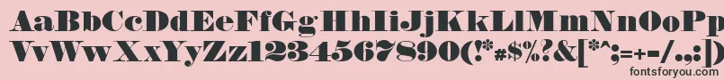 FetteBauerscheAntiqua Font – Black Fonts on Pink Background