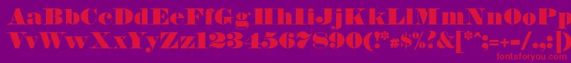 FetteBauerscheAntiqua Font – Red Fonts on Purple Background