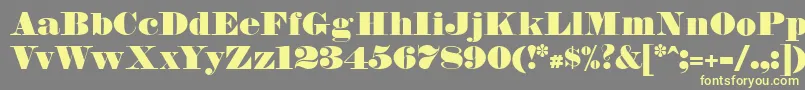 FetteBauerscheAntiqua Font – Yellow Fonts on Gray Background