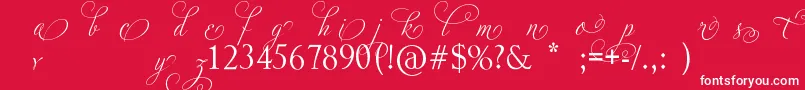 AdiosScriptAltIii Font – White Fonts on Red Background