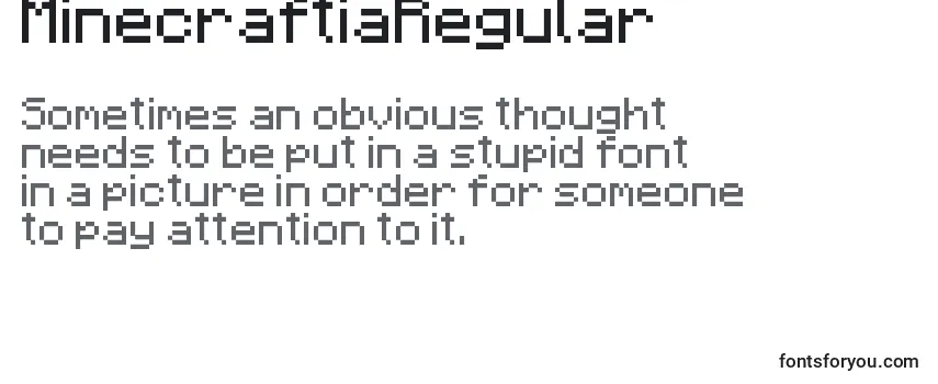 Review of the MinecraftiaRegular Font