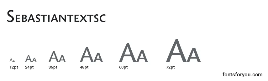 Размеры шрифта Sebastiantextsc