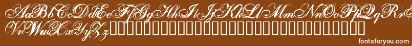 OneFellSwoop Font – White Fonts on Brown Background