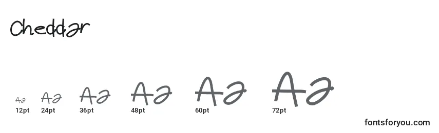 Размеры шрифта Cheddar