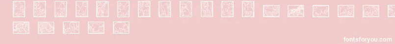 Wwanimalprints Font – White Fonts on Pink Background