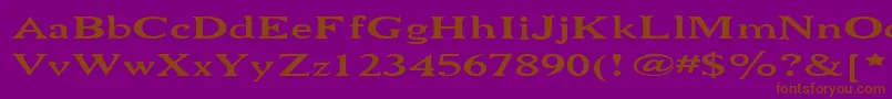 Niewcmw Font – Brown Fonts on Purple Background