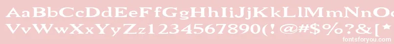 Niewcmw Font – White Fonts on Pink Background