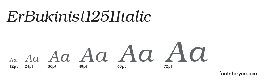 Размеры шрифта ErBukinist1251Italic