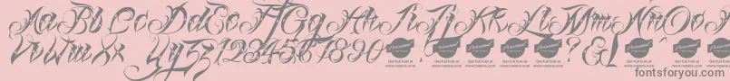 Linascriptdotdemo Font – Gray Fonts on Pink Background