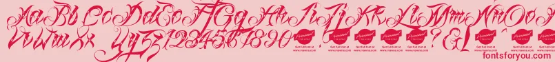 Linascriptdotdemo Font – Red Fonts on Pink Background