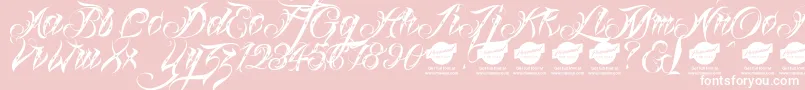 Linascriptdotdemo Font – White Fonts on Pink Background