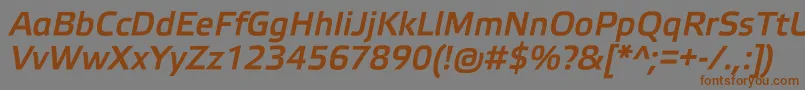 フォントElektraMediumProItalic – 茶色の文字が灰色の背景にあります。