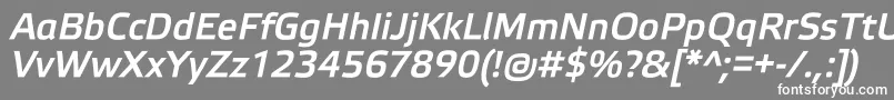 フォントElektraMediumProItalic – 灰色の背景に白い文字