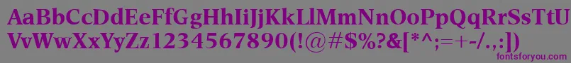 EsperantoBold Font – Purple Fonts on Gray Background