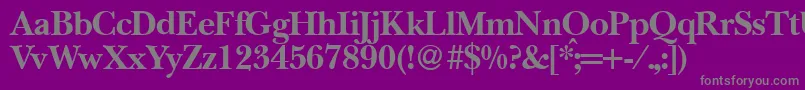 BaskervillenovatwoBold Font – Gray Fonts on Purple Background