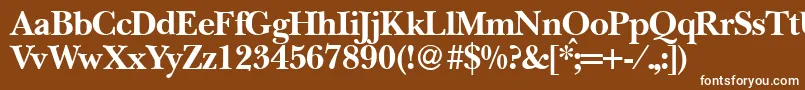 BaskervillenovatwoBold Font – White Fonts on Brown Background