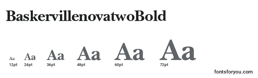 BaskervillenovatwoBold Font Sizes