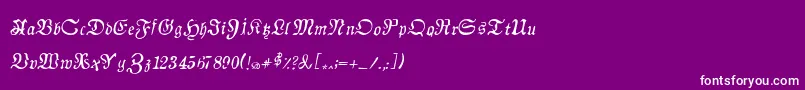 AuldmagickItalic Font – White Fonts on Purple Background