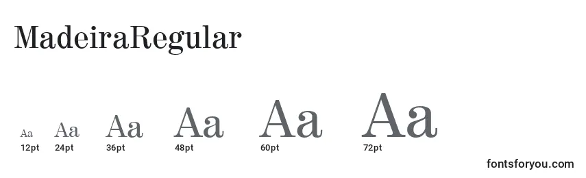 Размеры шрифта MadeiraRegular